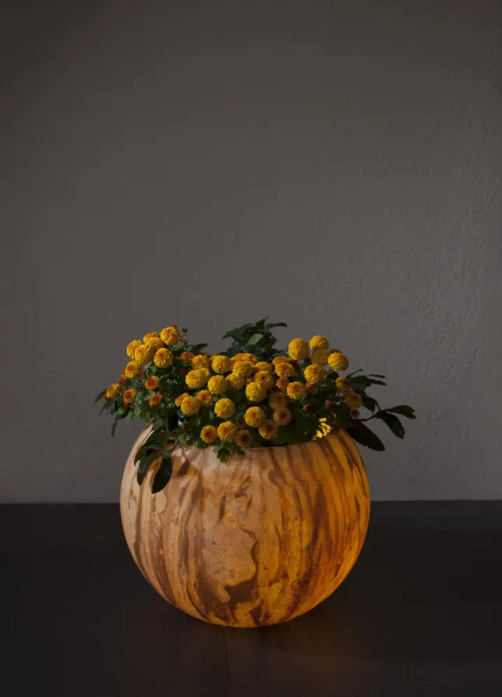 sandy|gartenlampe-aussenleuchte-blumentopf-epstein-design-Flora50-sahara-beleuchtet-bepflanzt.jpg